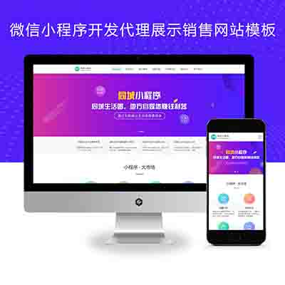 (PC+WAP)微信小程序开发代理展示销售pbootcms网站模板 软件开发公司网站源码下载