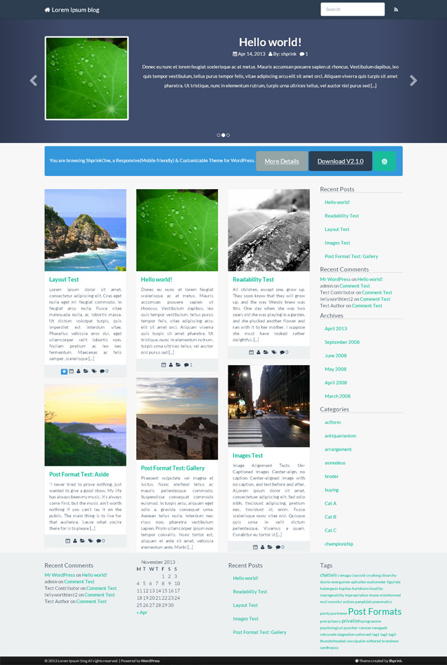 wordpress149.jpg