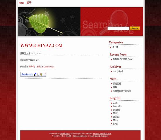 wordpress96.jpg