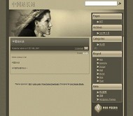 Wordpress 主页风格