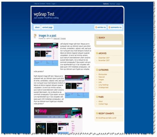 wordpress165.jpg