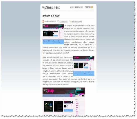 wordpress164.jpg
