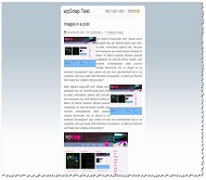 Wordpress Simplus年度佳14