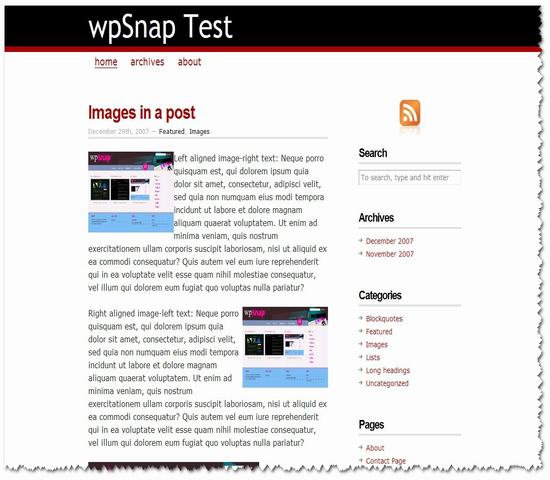 wordpress163.jpg