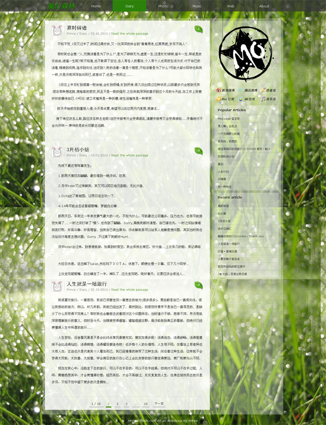 wordpress67.jpg
