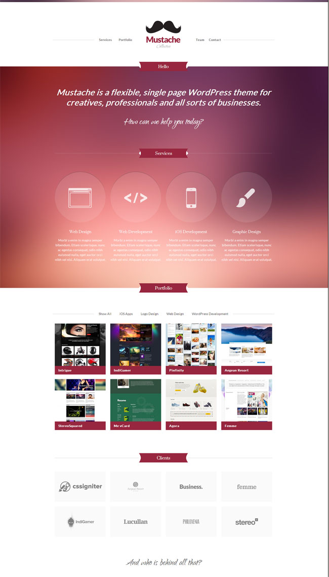 wordpress64.jpg