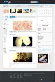 大前端wordpress绿色主题